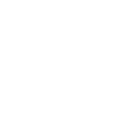 Adolfson & Peterson Construction logo
