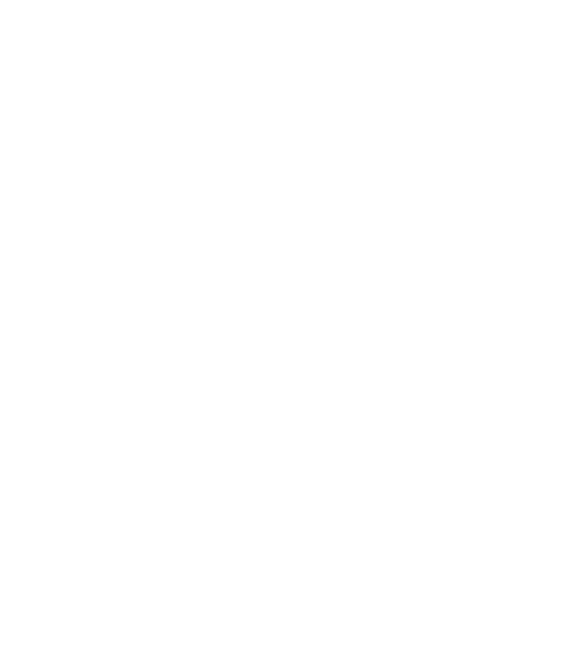 Fox Photo Studios logo
