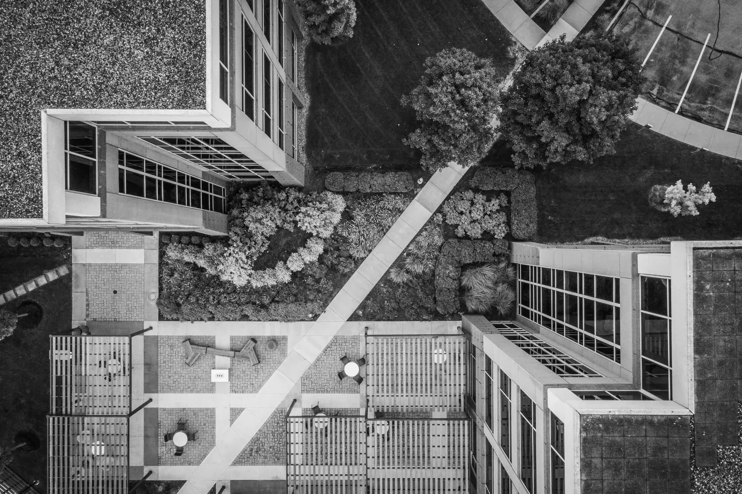 Straight-down aerial of landscape architecture, black and white